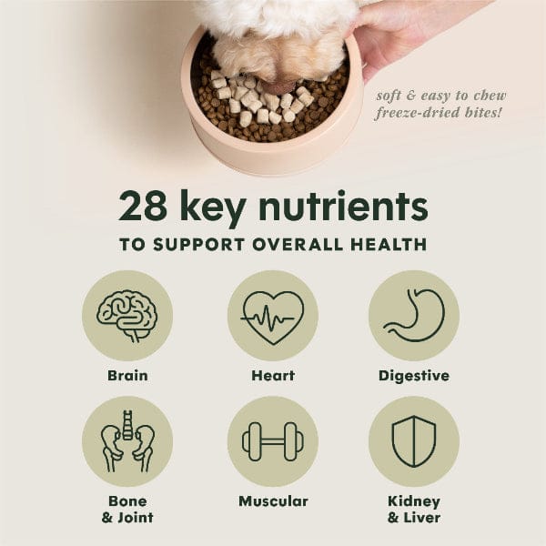 Instinct Raw Boost Mixers Multivitamin Dog Food Topper, 5.5oz - Image 5