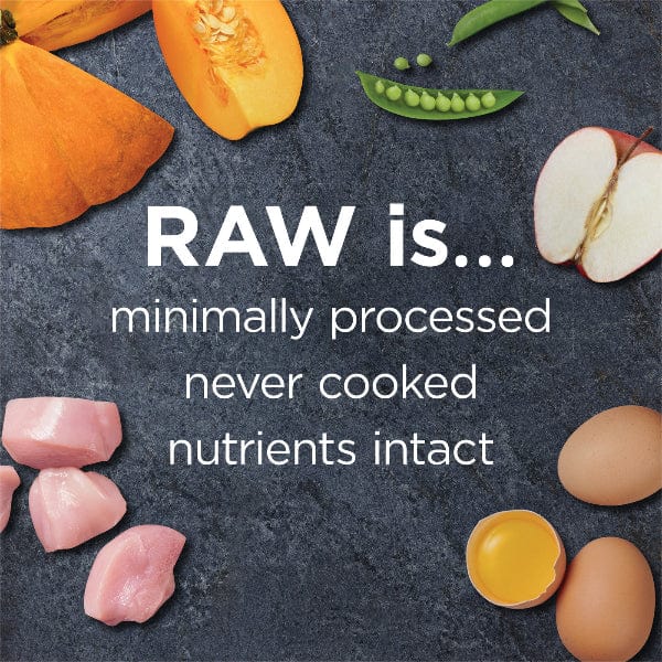 Instinct Raw Boost Real Chicken Gut Health Recipe Dry Dog Food, 3.5lb - Image 5