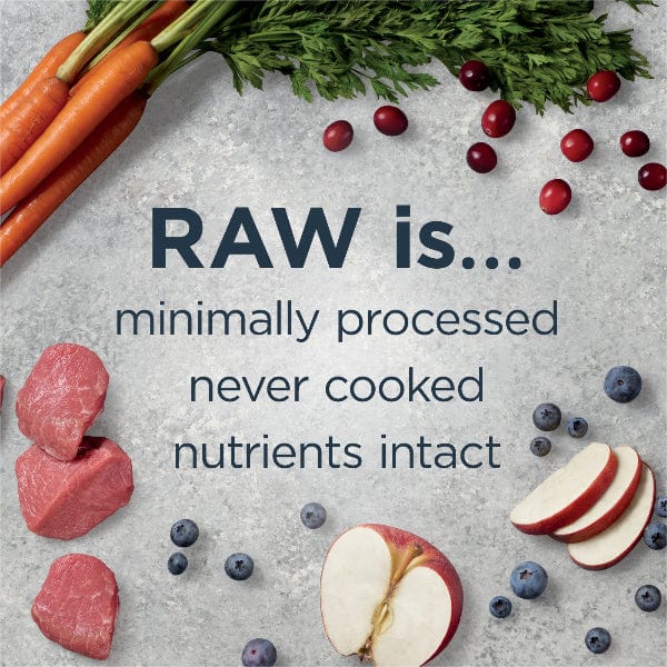 Instinct Raw Boost Whole Grain Real Lamb & Oatmeal Recipe Dry Dog Food - Image 4