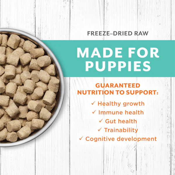 Instinct Raw Longevity Chicken Recipe 100% Freeze Dried Puppy Food - Image 2