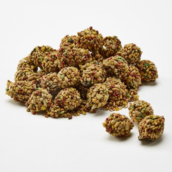 Kaytee Healthy Bits Treat for Parrots - Image 2