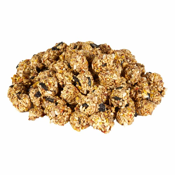 Kaytee Granola Bites with Superfoods Blueberry & Flax - Image 3