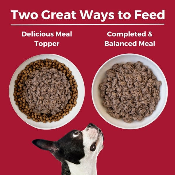 KOHA LID Beef Entrée Canned Dog Food - Image 5