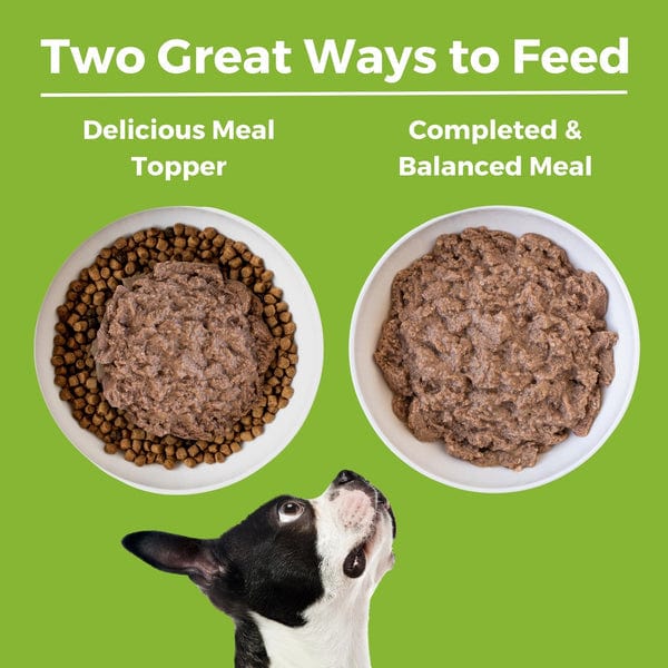 KOHA LID Duck Entrée Canned Dog Food - Image 5
