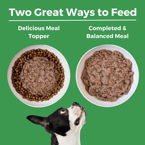 KOHA LID Turkey Entrée Canned Dog Food - Image 5