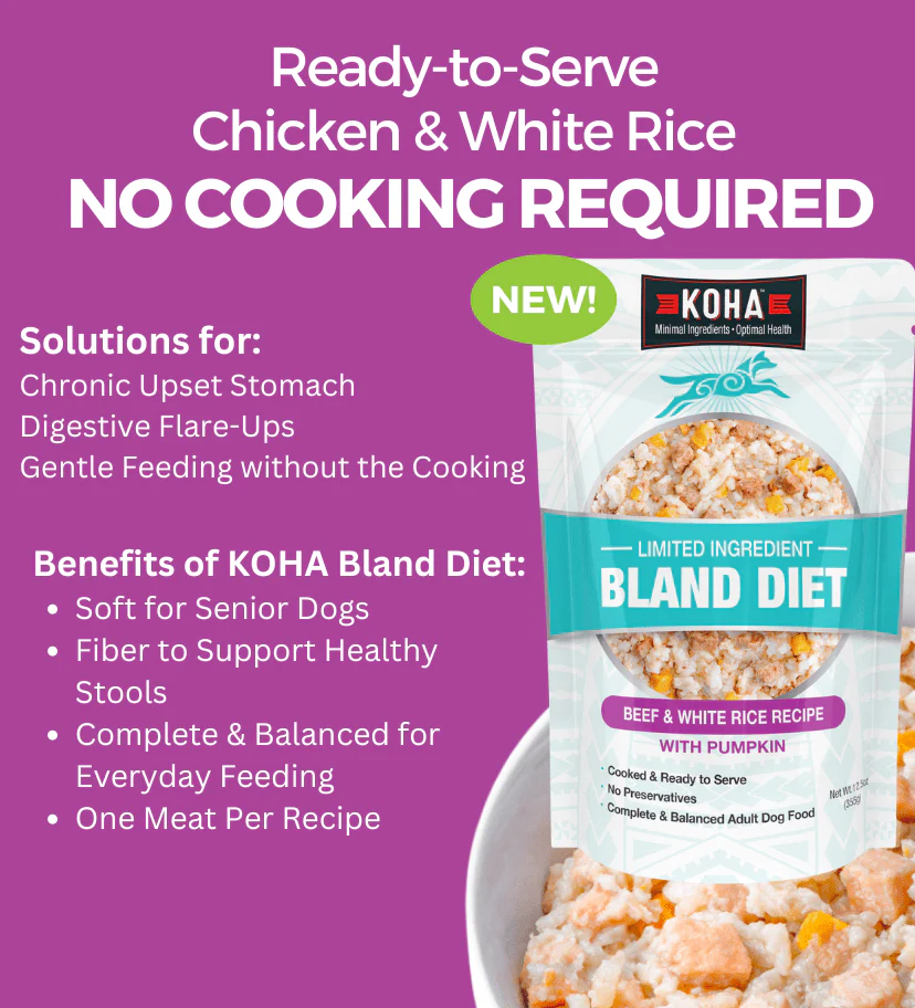 KOHA Limited Ingredient Bland Diet Beef & White Rice Recipe for Dogs - Image 2