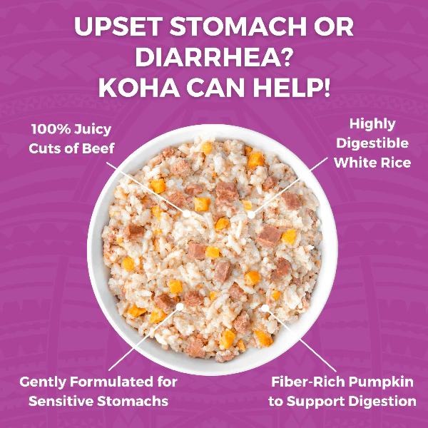 KOHA Limited Ingredient Bland Diet Beef & White Rice Recipe for Dogs - Image 3