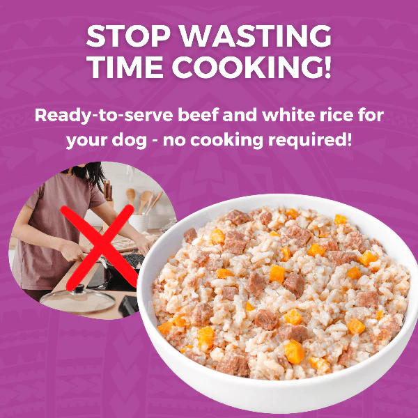 KOHA Limited Ingredient Bland Diet Beef & White Rice Recipe for Dogs - Image 4