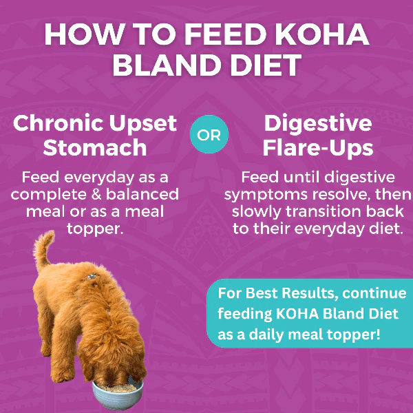KOHA Limited Ingredient Bland Diet Beef & White Rice Recipe for Dogs - Image 5