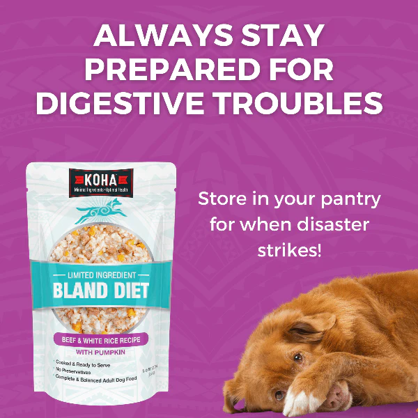 KOHA Limited Ingredient Bland Diet Beef & White Rice Recipe for Dogs - Image 6