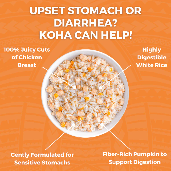 KOHA Limited Ingredient Bland Diet Chicken & White Rice Recipe for Dogs - Image 3