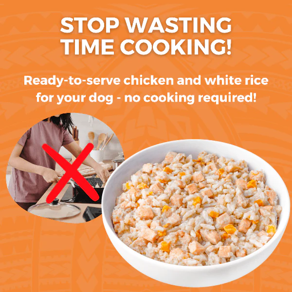 KOHA Limited Ingredient Bland Diet Chicken & White Rice Recipe for Dogs - Image 4