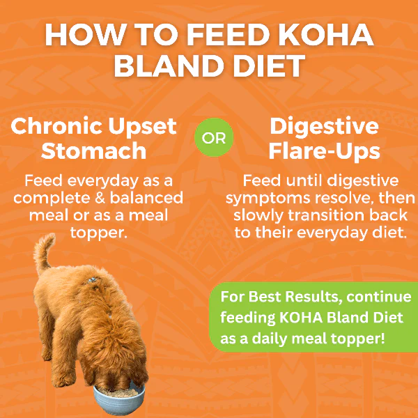 KOHA Limited Ingredient Bland Diet Chicken & White Rice Recipe for Dogs - Image 5
