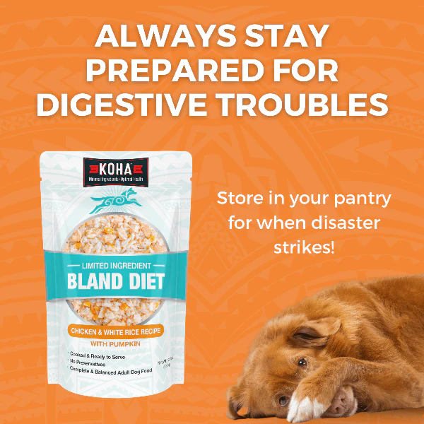 KOHA Limited Ingredient Bland Diet Chicken & White Rice Recipe for Dogs - Image 6