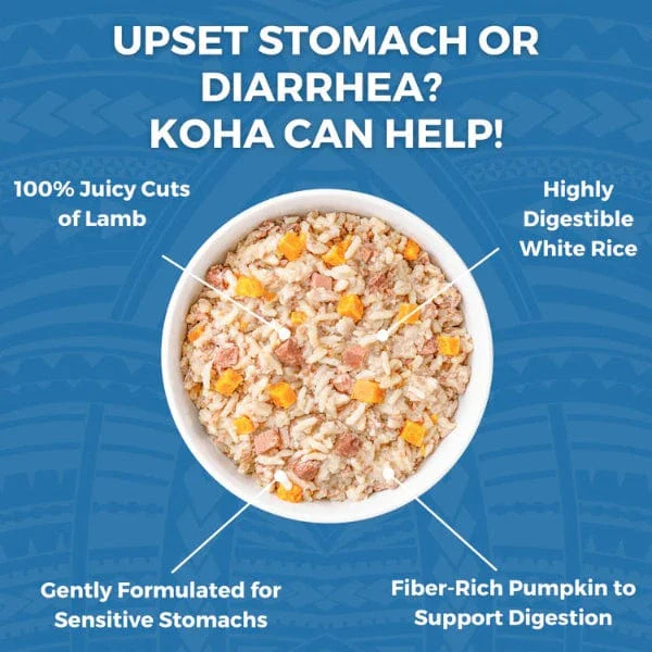 KOHA Limited Ingredient Bland Diet Lamb & White Rice Recipe for Dogs - Image 2