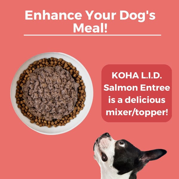 KOHA LID Salmon Entrée Canned Dog Food - Image 5