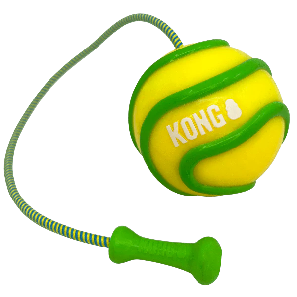 KONG Bunji High-Viz Ball Dog Toy - Image 5