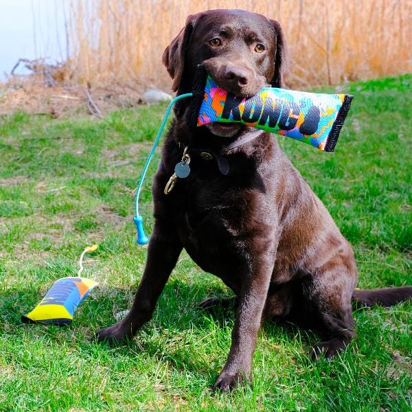 KONG Bunji High-Viz Bumper Dog Toy - Image 2