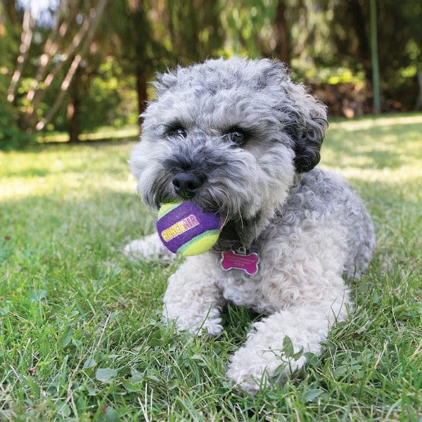 KONG CrunchAir Ball Dog Toy - Image 2