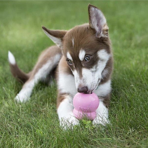 KONG Easy Treat Puppy - Image 2