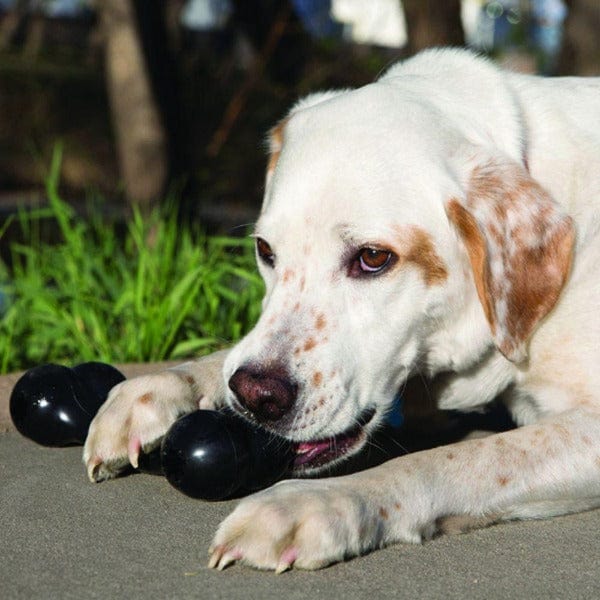 KONG Extreme Goodie Bone Dog Toy - Image 2