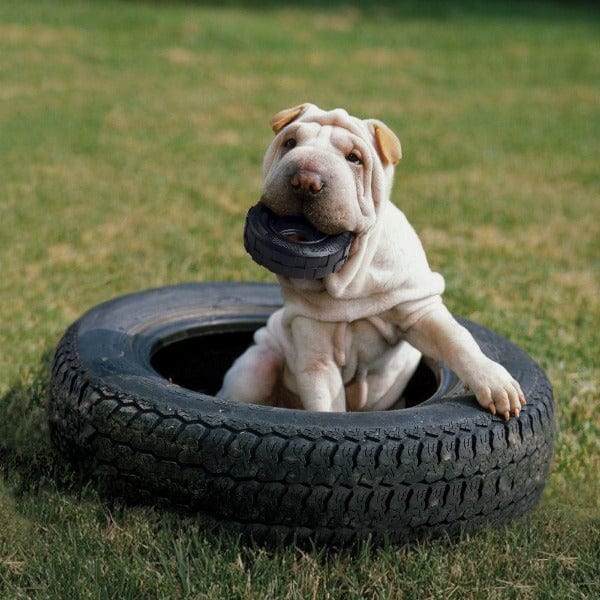 KONG Extreme Tires Dog Toy - Image 2