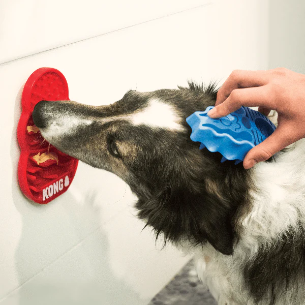 KONG Licks - Image 2