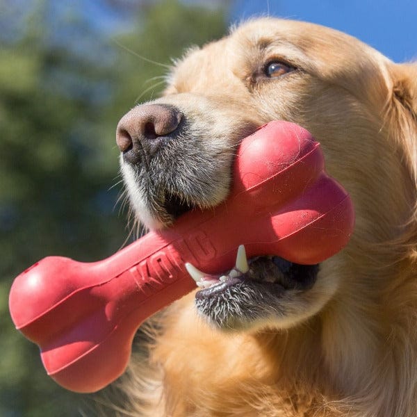KONG Goodie Bone Dog Toy - Image 3
