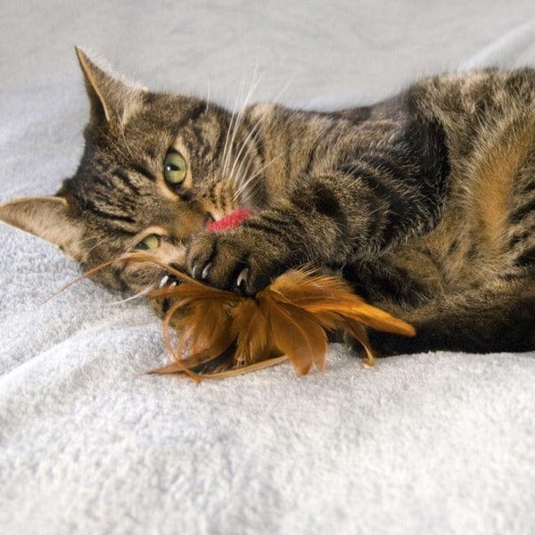 KONG Naturals Crinkle Ball w/Feathers Cat Toy - Image 2
