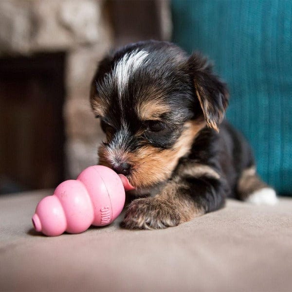 KONG Puppy Toy - Image 3