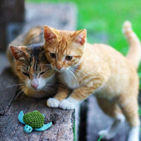 KONG Refillables Turtle Cat Toy - Image 2