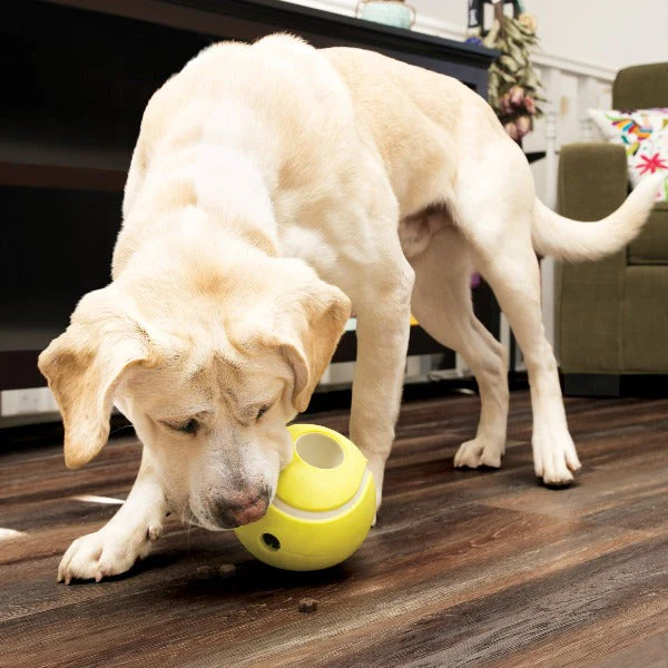 KONG Rewards Tennis Treat Dispensing Dog Toy - Image 2
