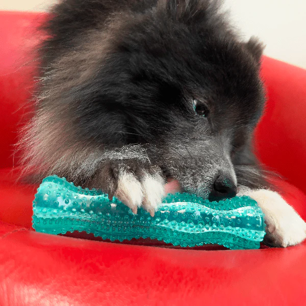 KONG Squeezz Dental Stick Dog Toy - Image 2