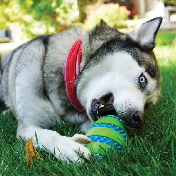 KONG Squeezz Goomz Football Dog Toy - Image 2