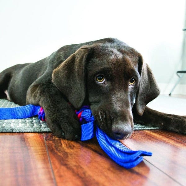 KONG Tugga Wubba Dog Toy - Image 2