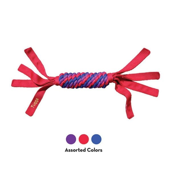 KONG Tugga Wubba Dog Toy - Image 3