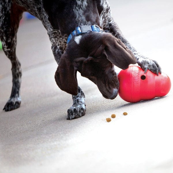 KONG Wobbler Treat Dispensing Dog Toy - Image 2