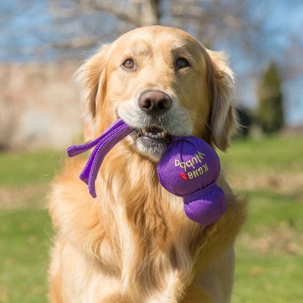 KONG Wubba Dog Toy - Image 2