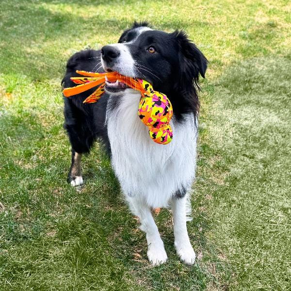 KONG Wubba Ballistic High-Vis Dog Toy - Image 2