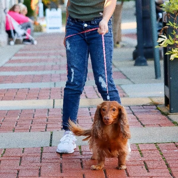 Li'l Pals Dog Leash with E-Z Snap - Image 3