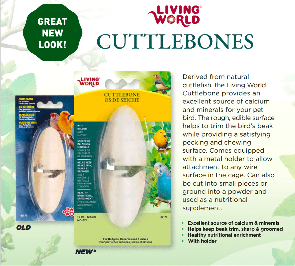 Living World Cuttlebone with Holder for Birds - Image 3