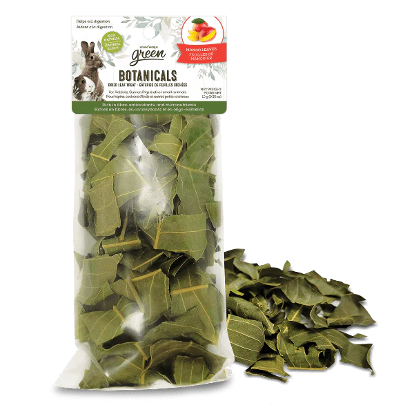 Living World Green Botanicals Dried Mango Leaves Treat