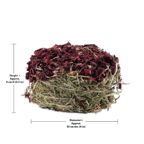 Living World Green Botanicals Hay Cake with Beet - Image 5