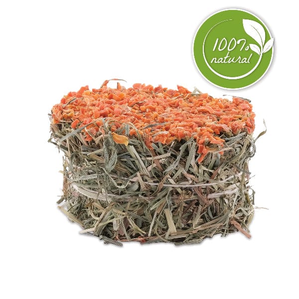 Living World Green Botanicals Hay Cake with Carrot - Image 4