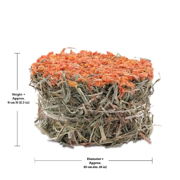 Living World Green Botanicals Hay Cake with Carrot - Image 5