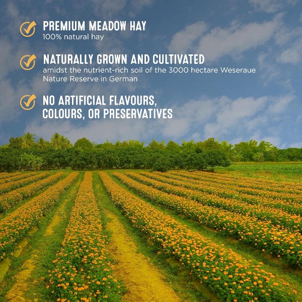 Living World Green Botanicals Meadow Hay Bale – Natural - Image 2