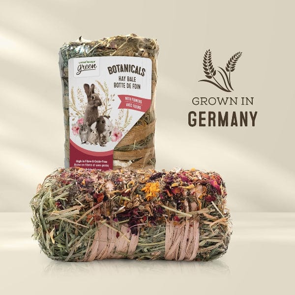 Living World Green Botanicals Meadow Hay Bale – Natural - Image 3