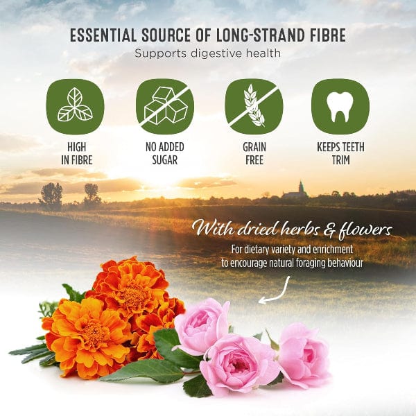 Living World Green Botanicals Meadow Hay Bale – with Flowers - Image 3