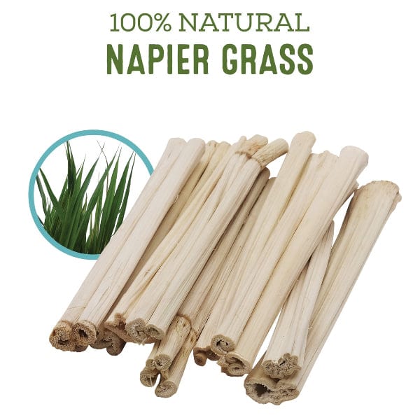 Living World Green Chews - Napier Grass Sticks - Image 2