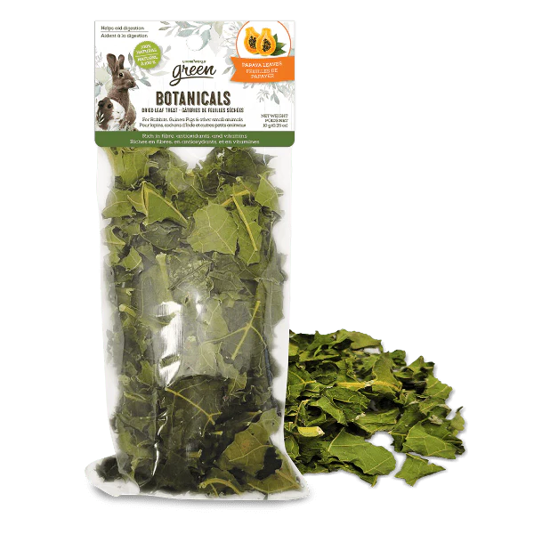 Living World Green Botanicals Dried Papaya Leaves Treat